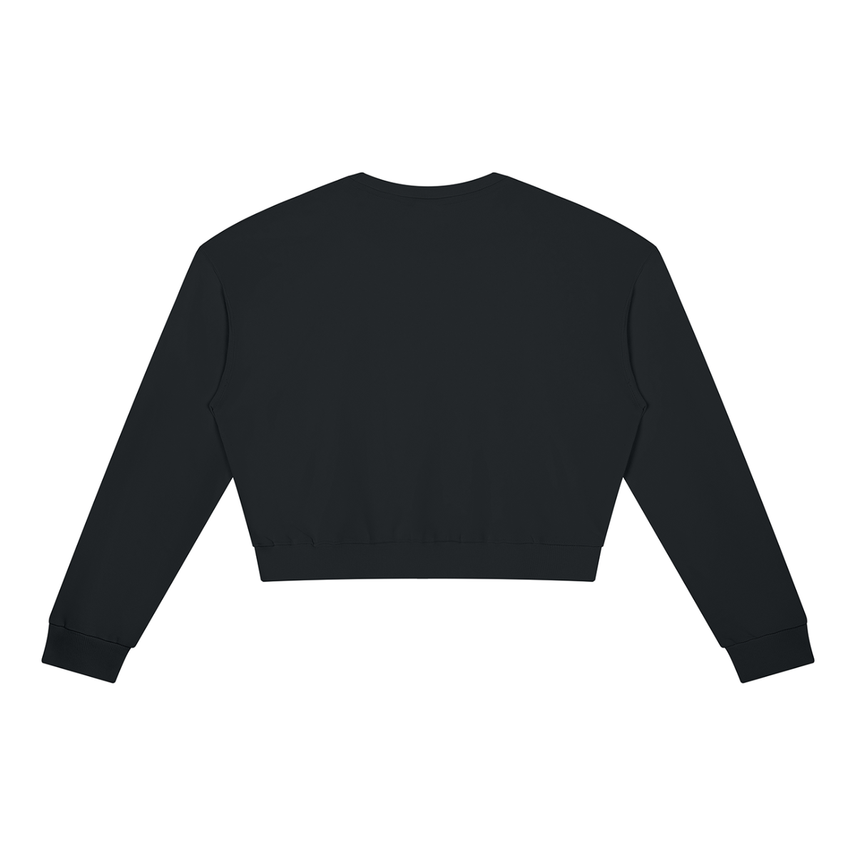 Chasing Babies & Jesus Women's Crewneck Sweatshirt
